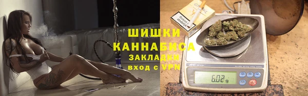 сатива Вязники