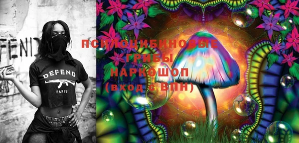 круглые Вяземский