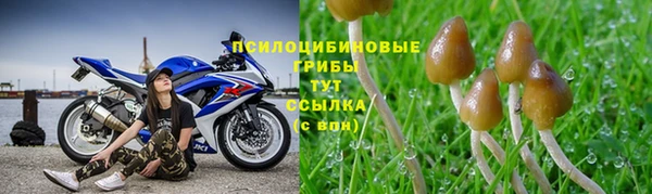 сатива Вязники