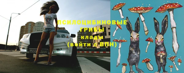 круглые Вяземский